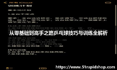 从零基础到高手之路乒乓球技巧与训练全解析